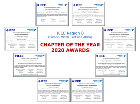 IEEE Region 8 Chapter of the Year 2020 Award